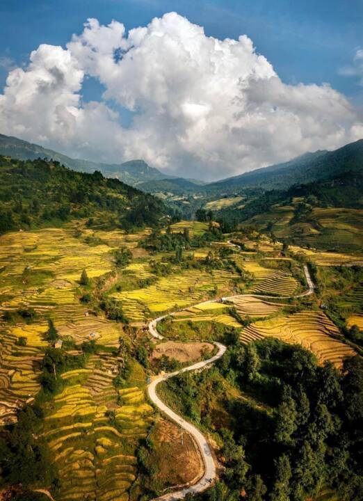 Rice terrace in Ha Giang 2023