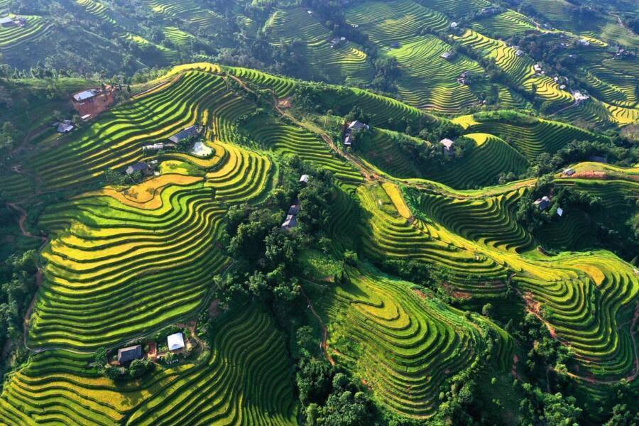 Rice terrace in Ha Giang 2023
